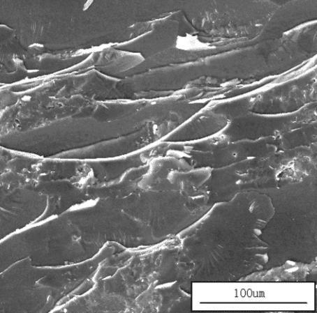 Aplicación del microscopio electrónico de barrido en el análisis de materiales 3 Aplicación del microscopio electrónico de barrido en el análisis de materiales 3