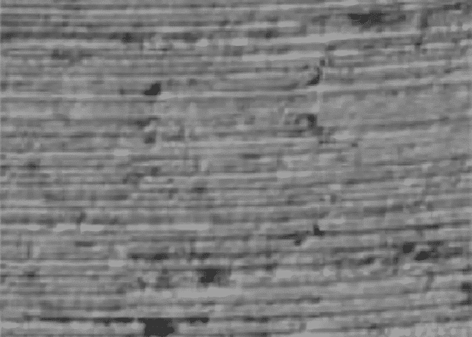 Technical Analysis of Micro Milling on Carbide Material by PCD Cutters 7 Technical Analysis of Micro Milling on Carbide Material by PCD Cutters 7