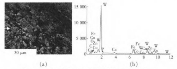 Figure 5: Wear Morphology and EDS Analysis Results of the Wire Drawing Die Sizing Zone