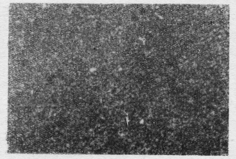 Figure 1: Metallographic structure of YT04 carbide, 1500×