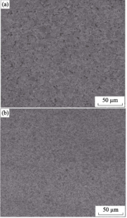 Differences in Corrosion Performance between Hard Alloys with 2 Matrix Granule-to-Network Structure Ratios 3